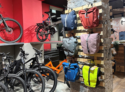 Intérieur magasin de vélos Genève Eaux-Vives